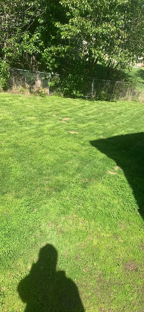 Local landscape installation for beautiful yards in Anchorage, AK by Godwin Services