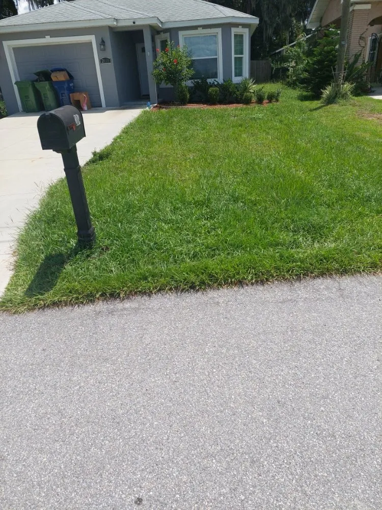 Top-rated yard cleanup service experts serving Winter Haven, FL - Godwins Lawn Serivce