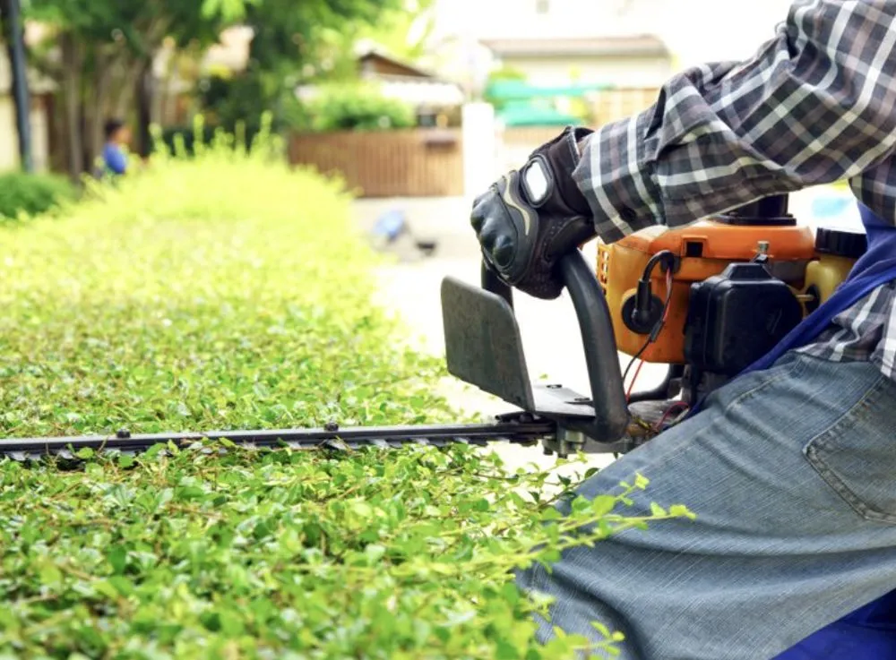 Reliable yard cleanup service in Winter Haven, FL - Godwins Lawn Serivce