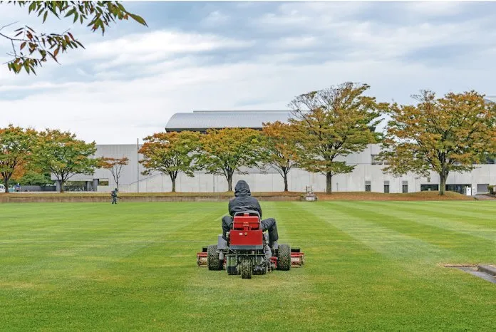 Local yard cleanup service experts serving Winter Haven, FL - Godwins Lawn Serivce