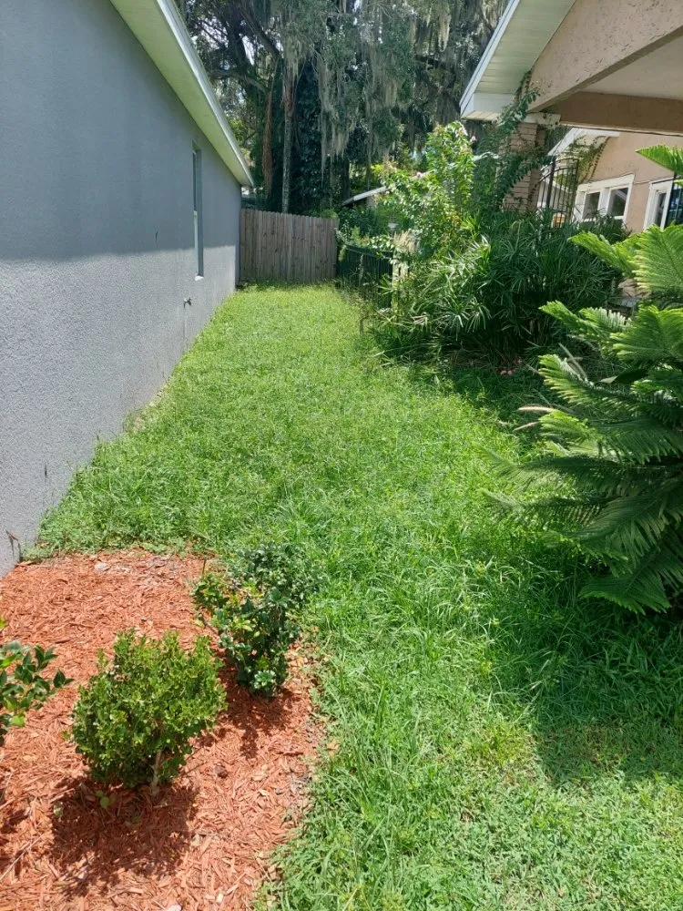 Local lawn mowing service in Winter Haven, FL - Godwins Lawn Serivce