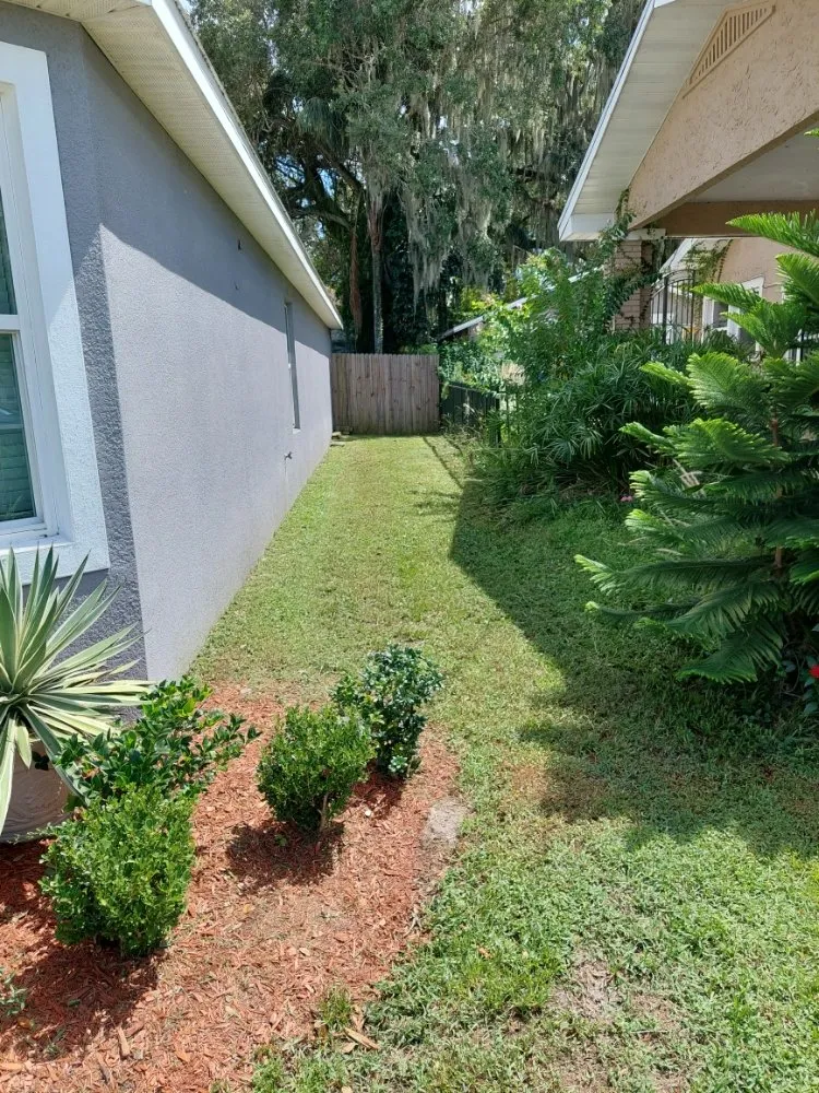 Affordable residential landscaping in Winter Haven, FL - Godwins Lawn Serivce