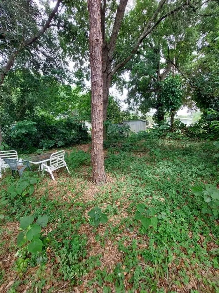 Affordable residential landscaping in Winter Haven, FL - Godwins Lawn Serivce