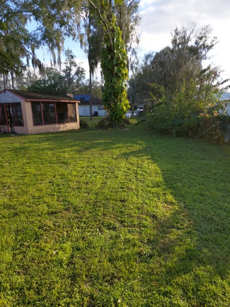 Custom garden landscaping for year-round maintenance across Winter Haven, FL - Godwin's Lawn Service