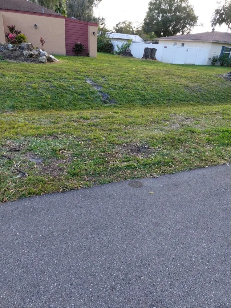 Top-rated landscaping services for residential properties across Winter Haven, FL - Godwin's Lawn Service