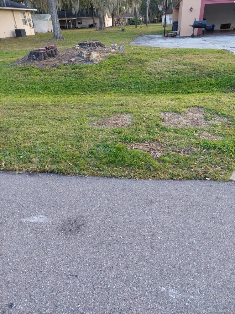 Expert lawn mowing service in Winter Haven, FL by Godwin's Lawn Service