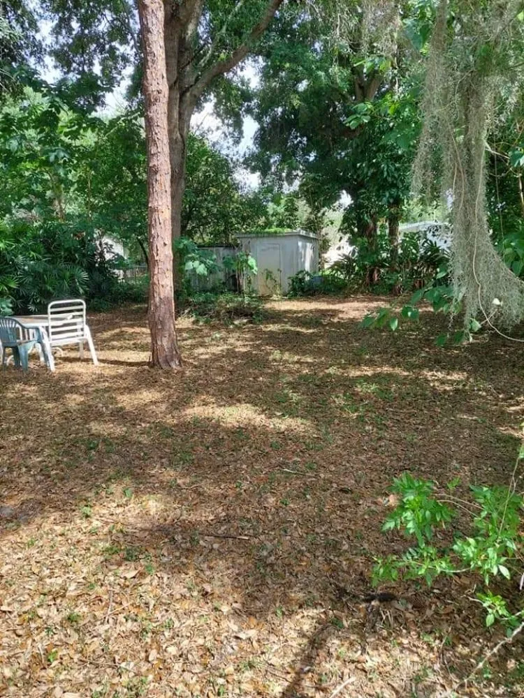 Expert outdoor landscaping for beautiful yards across Winter Haven, FL - Godwin's Lawn Service