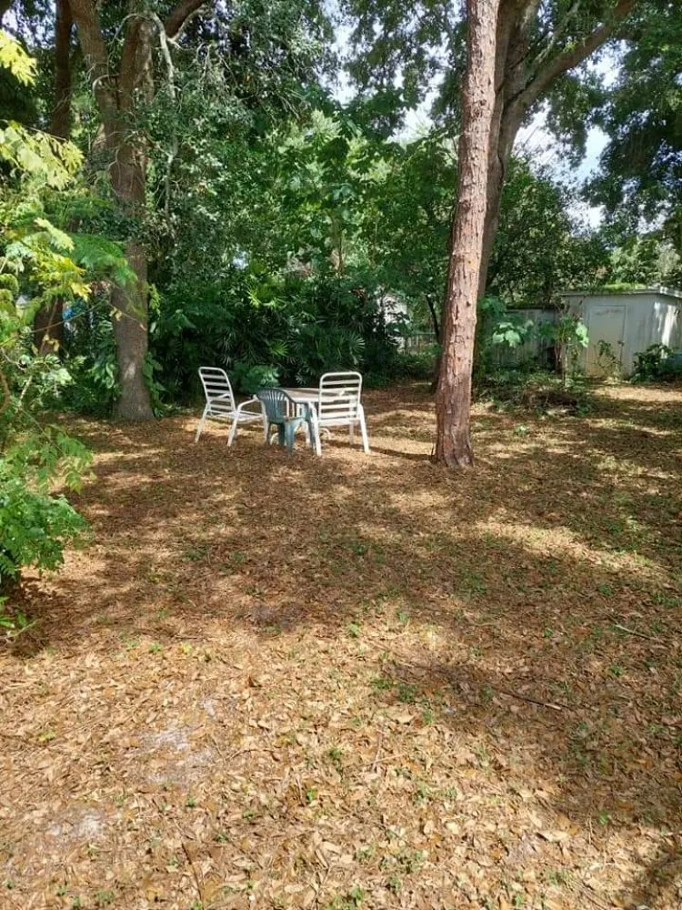 Custom lawn mowing service experts serving Winter Haven, FL - Godwin's Lawn Service