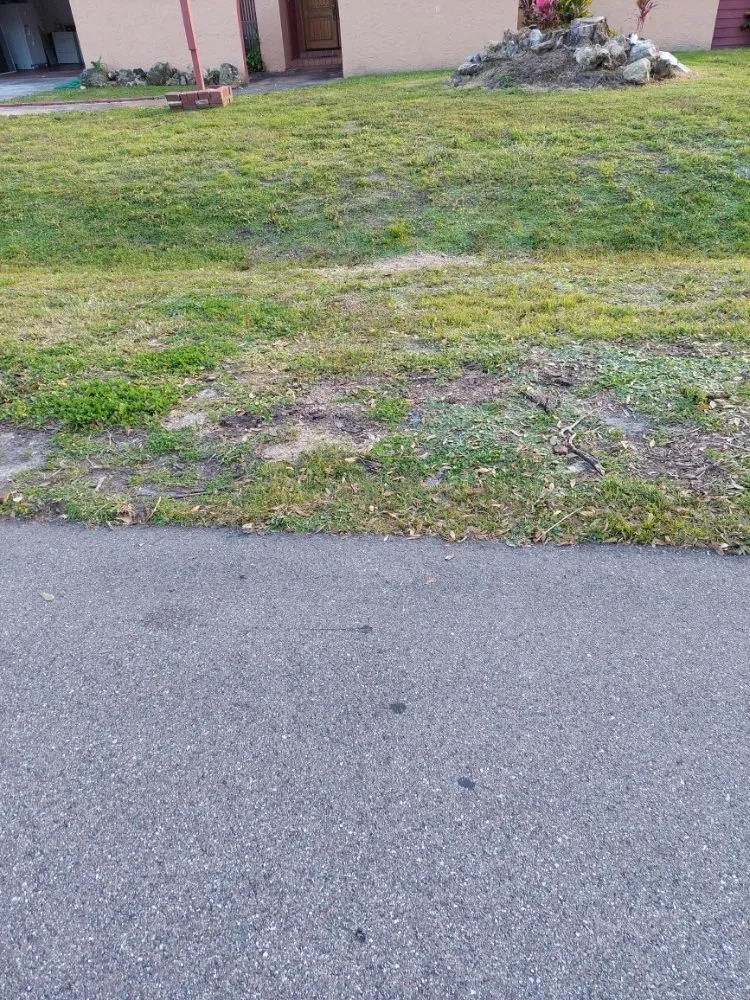 Expert yard maintenance with custom design in Winter Haven, FL by Godwin's Lawn Service