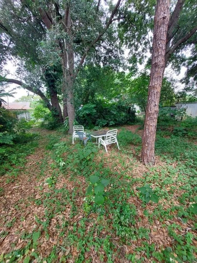 Expert landscaping services experts serving Winter Haven, FL - Godwin's Lawn Service