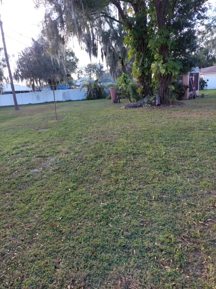 Professional outdoor landscaping with custom design across Winter Haven, FL - Godwin's Lawn Service