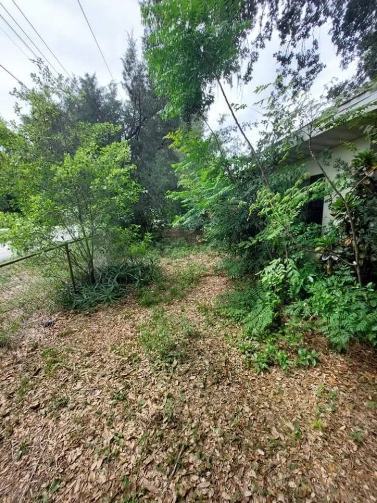 Expert outdoor landscaping for year-round maintenance in Winter Haven, FL by Godwin's Lawn Service