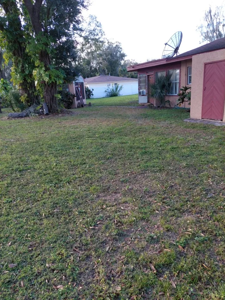 Top-rated lawn mowing service for year-round maintenance in Winter Haven, FL by Godwin's Lawn Service