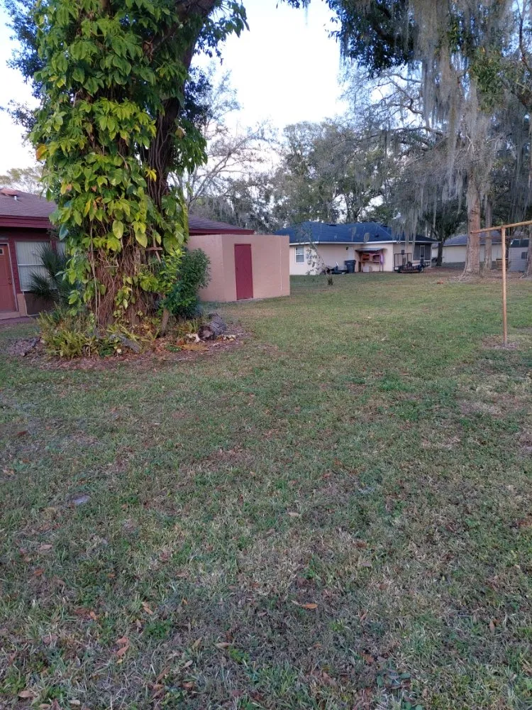 Local lawn care service in Winter Haven, FL - Godwin's Lawn Service