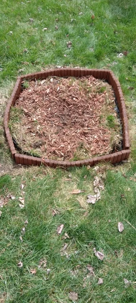 Custom yard cleanup service in Detroit, MI by Godz Gardens Landscaping