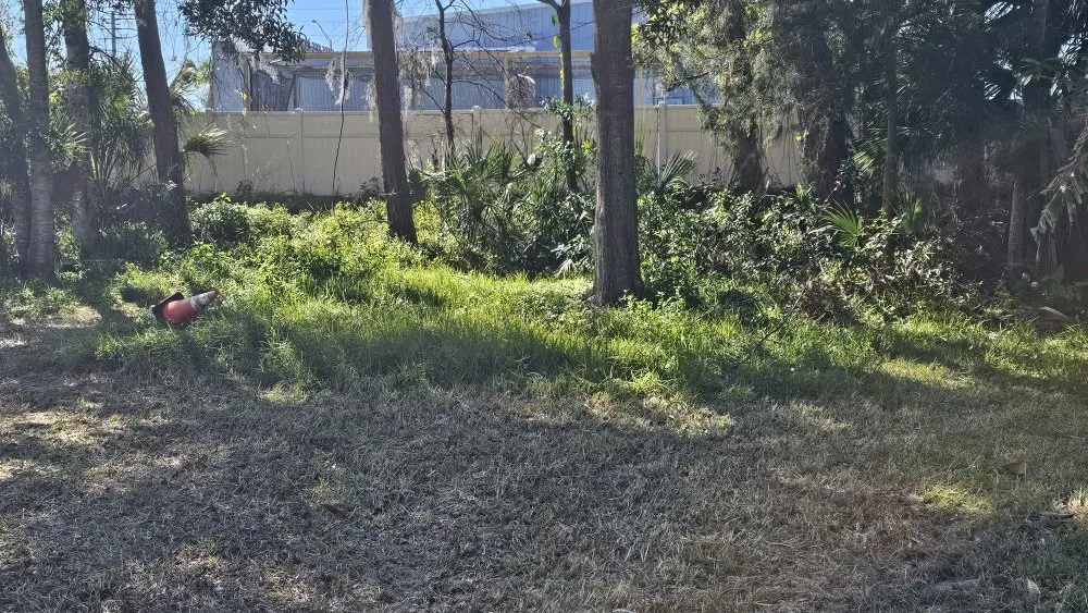 Local lawn care service for outdoor upgrades across Ormond Beach, FL - Goerke's Lawn Care