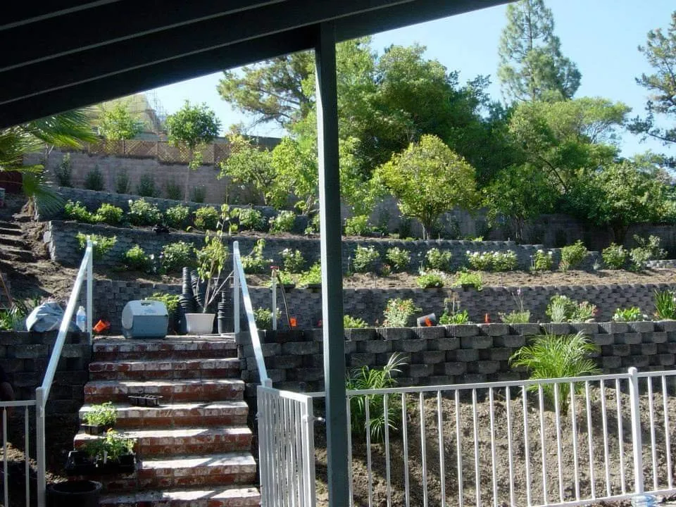 Professional lawn care service in Simi Valley, CA by Goers Landscaping