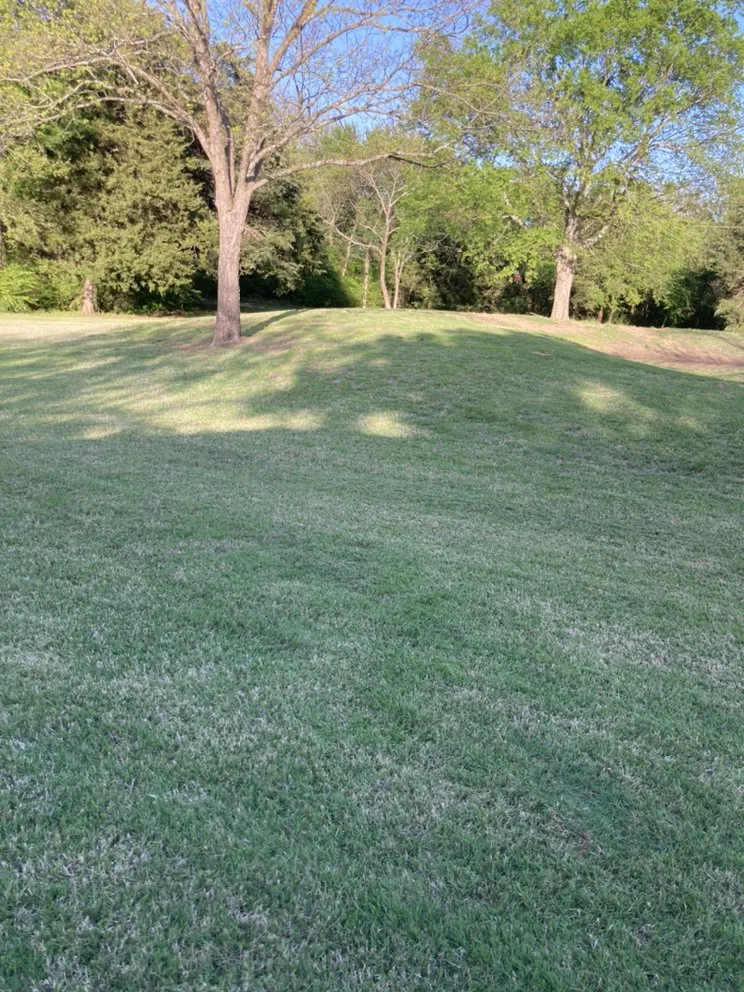 Expert landscape installation in Omaha, TX by Goff Lawn and Tree Care