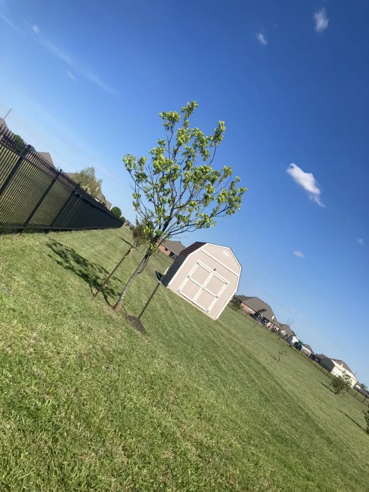 Custom landscape design for homes across Omaha, TX - Goff Lawn and Tree Care