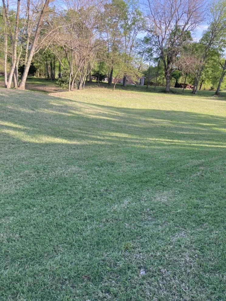 Trusted residential landscaping in Omaha, TX by Goff Lawn and Tree Care