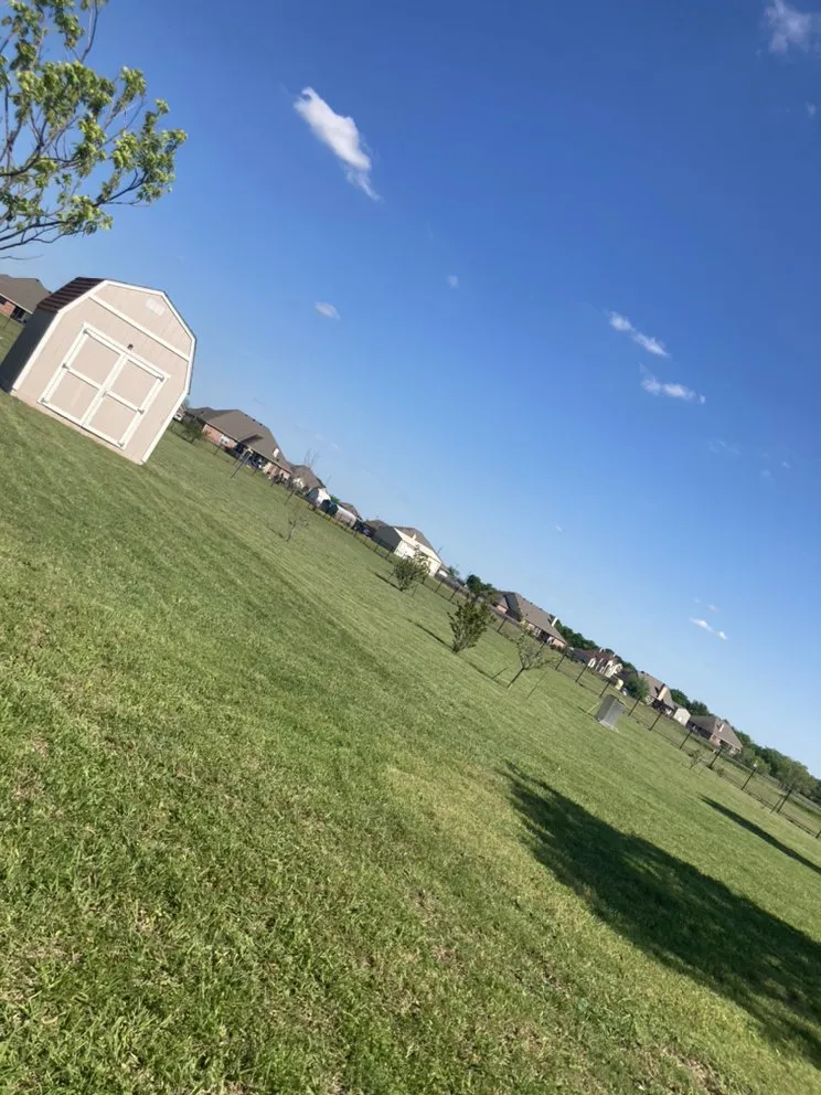 Affordable outdoor landscaping for residential properties across Omaha, TX - Goff Lawn and Tree Care