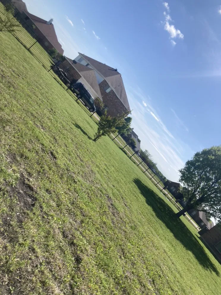 Trusted landscape design near you in Omaha, TX by Goff Lawn and Tree Care