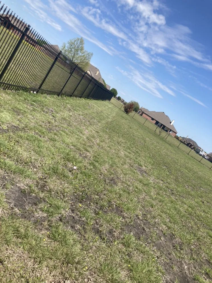 Reliable lawn care service for year-round maintenance in Omaha, TX by Goff Lawn and Tree Care