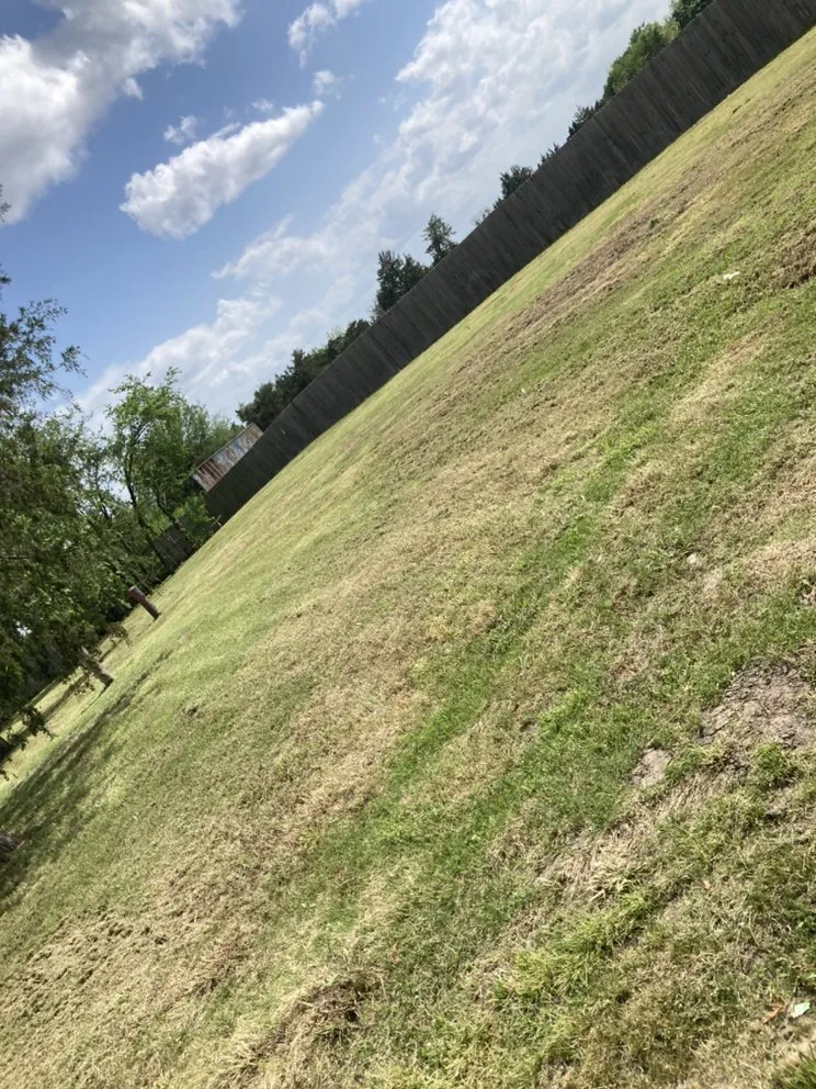 Expert yard maintenance in Omaha, TX - Goff Lawn and Tree Care