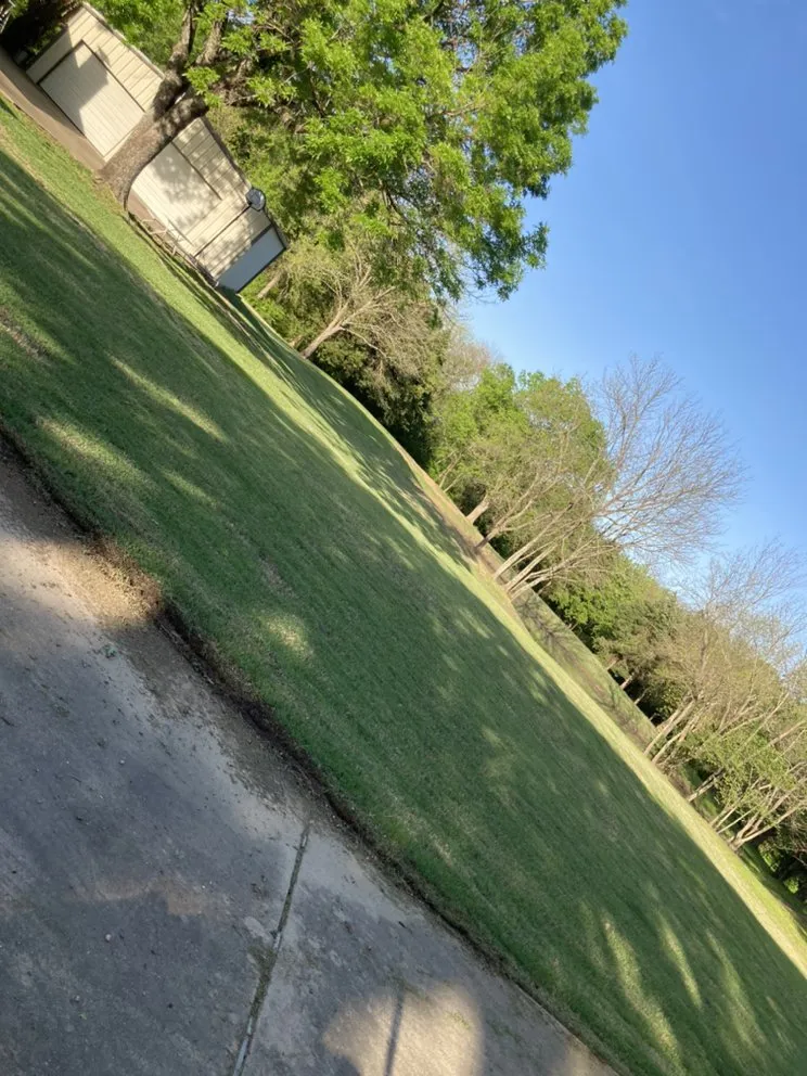 Local landscape design for homes in Omaha, TX by Goff Lawn and Tree Care