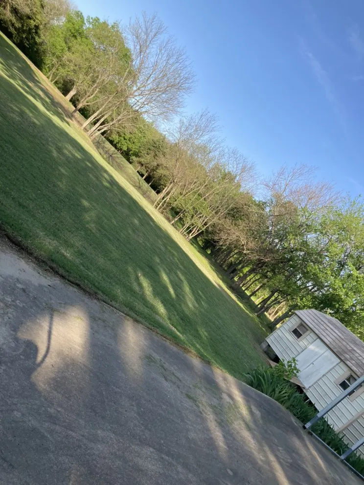 Reliable landscape design in Omaha, TX by Goff Lawn and Tree Care