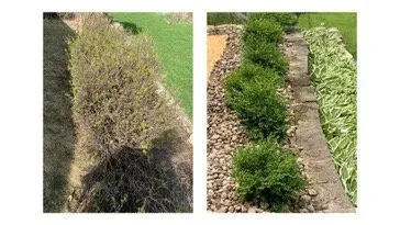 Top-rated yard maintenance in Brookfield, WI - GoFisch Wisconsin