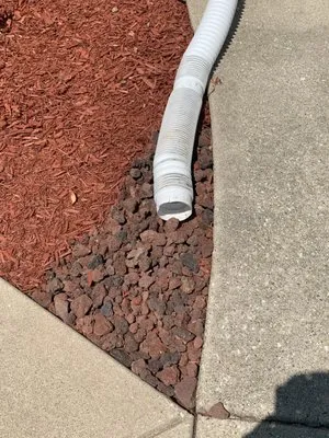 GoFisch Wisconsin Logo