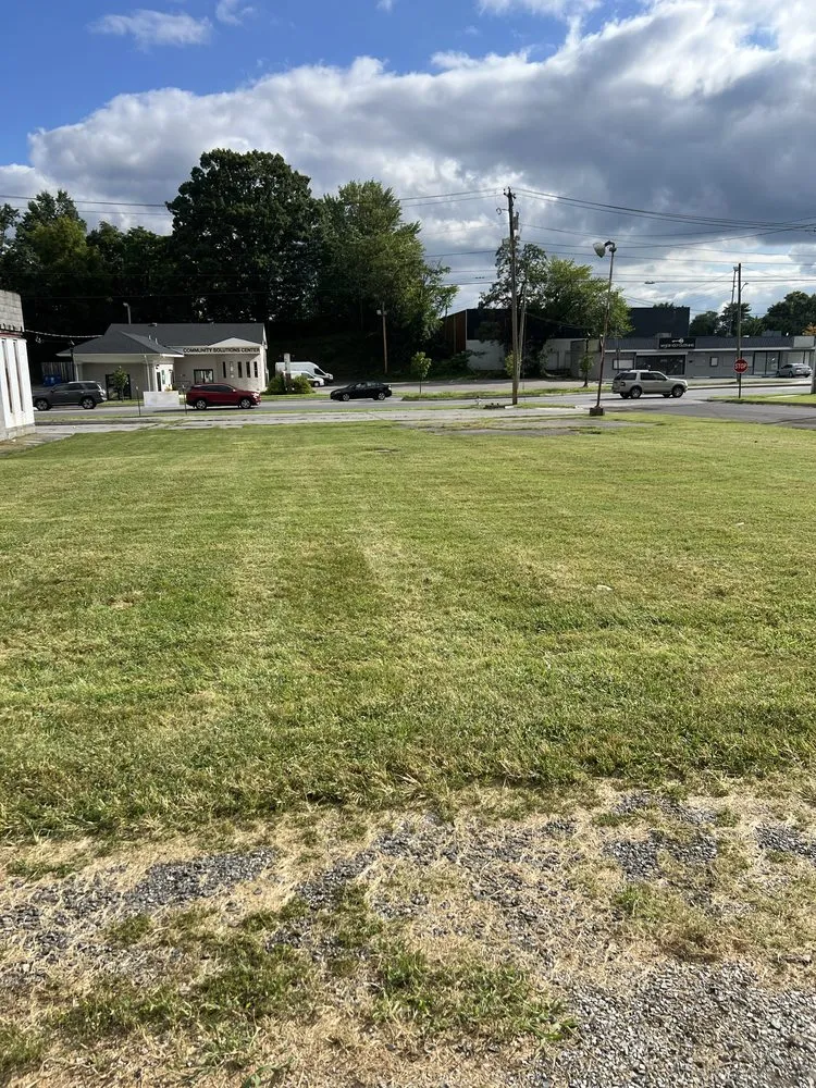 Top-rated landscape installation for year-round maintenance in Cave Spring, VA by GoFor Shane