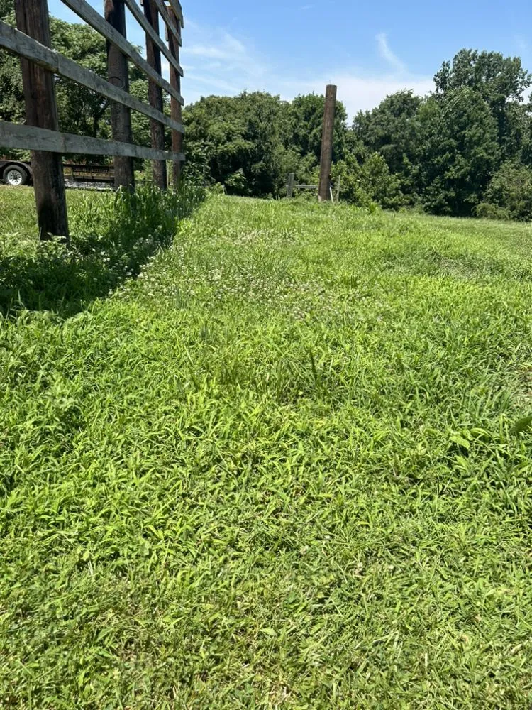Expert landscape design in Harmony, NC by Goforth Mowing