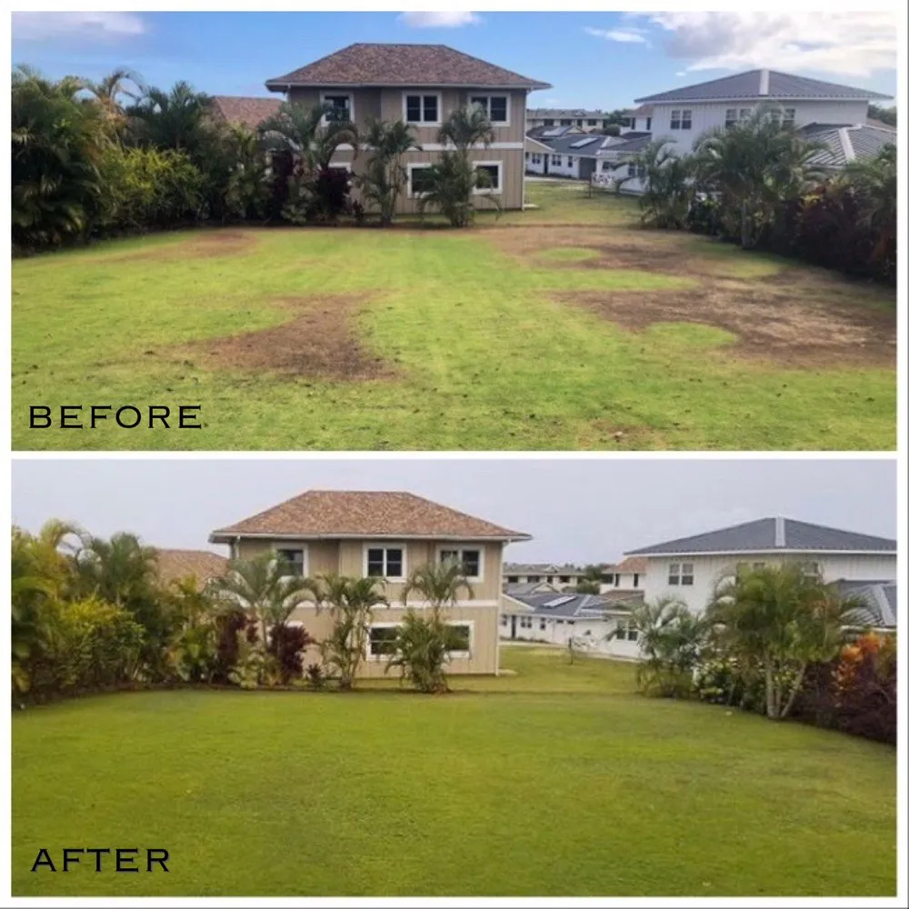 Expert landscape installation in Koloa, HI by GOFR Smart Mowing
