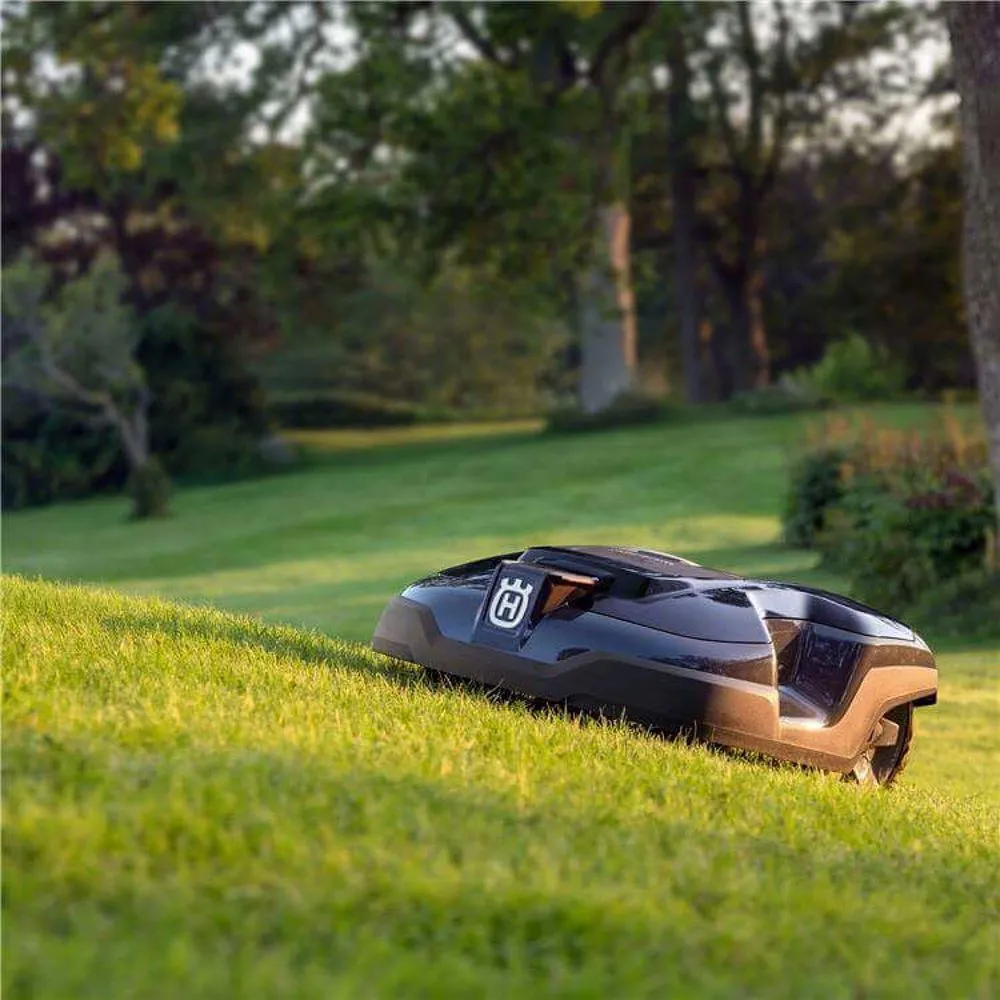 Custom yard cleanup service for year-round maintenance in Waimea, HI by GOFR Smart Mowing