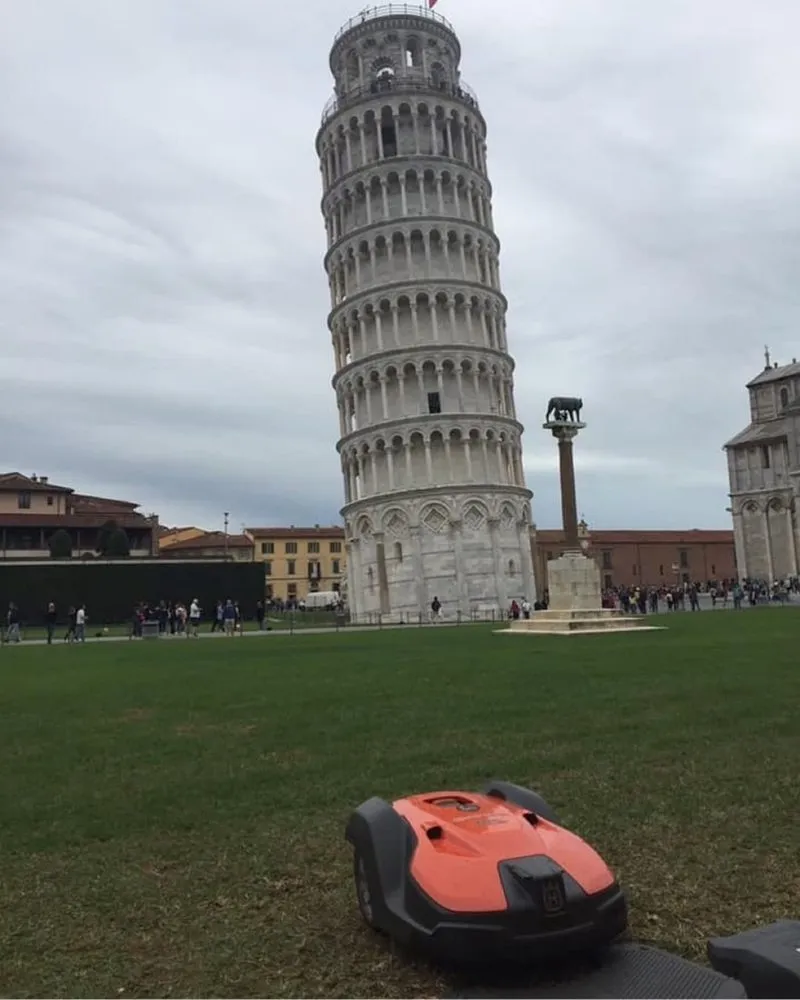 Expert yard cleanup service in Waimea, HI - GOFR Smart Mowing