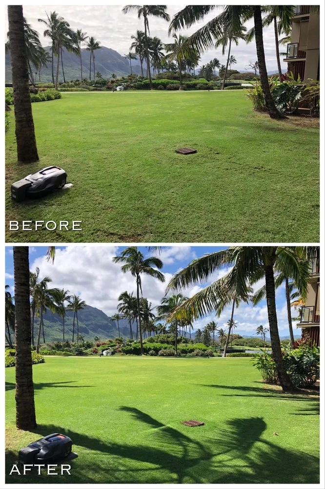 Reliable landscaping services for residential properties across Waimea, HI - GOFR Smart Mowing