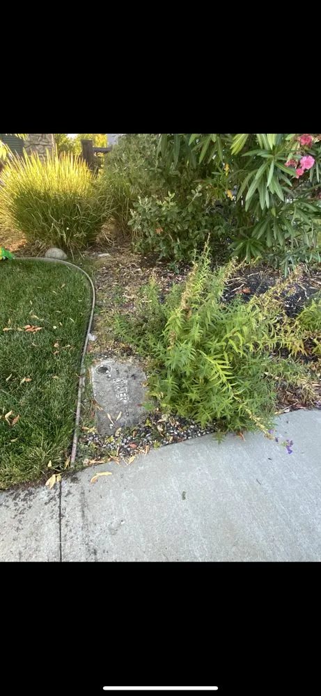 Local residential landscaping experts serving Citrus Heights, CA - GoGrass Lawn Care