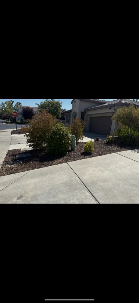 Reliable landscape design for outdoor upgrades across Citrus Heights, CA - GoGrass Lawn Care