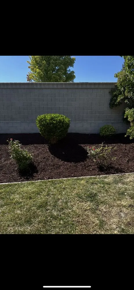 Trusted yard maintenance in Citrus Heights, CA by GoGrass Lawn Care
