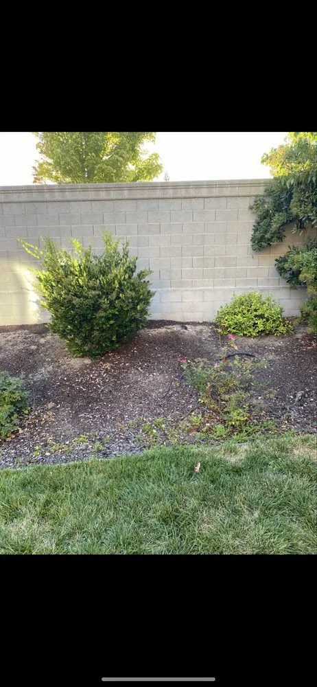 Trusted lawn mowing service in Citrus Heights, CA - GoGrass Lawn Care