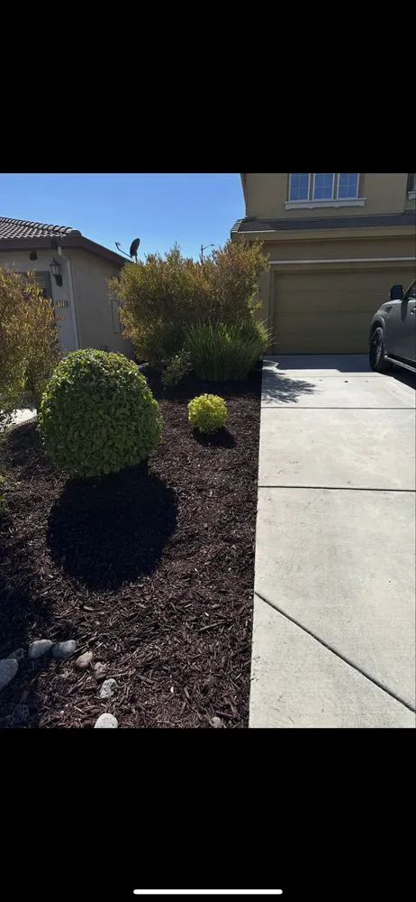 Professional garden landscaping in Citrus Heights, CA by GoGrass Lawn Care