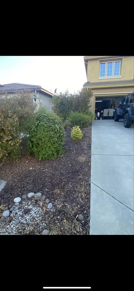 Local landscape installation for outdoor upgrades in Citrus Heights, CA by GoGrass Lawn Care