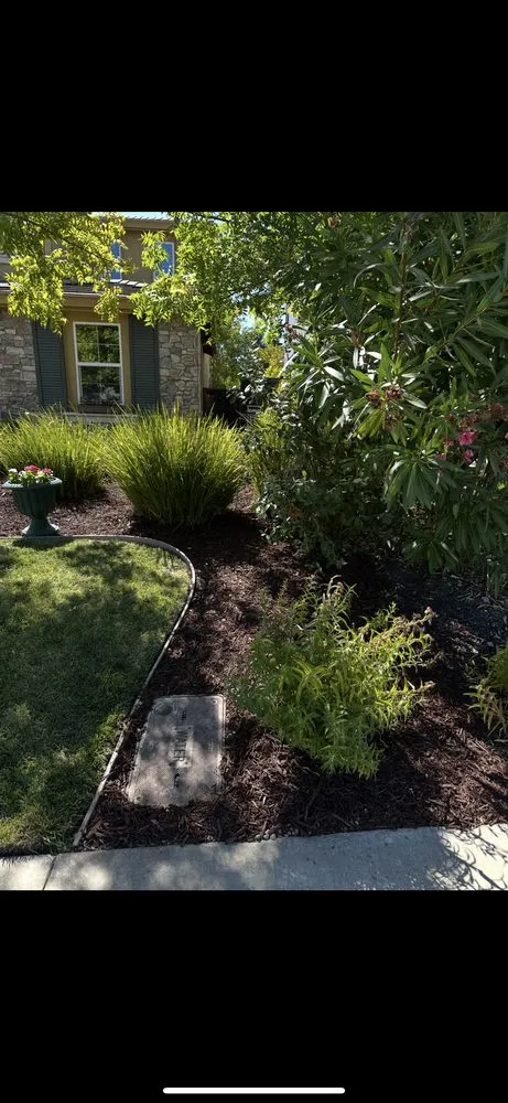 Top-rated yard cleanup service in Citrus Heights, CA by GoGrass Lawn Care