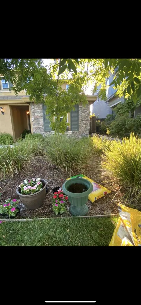 Professional landscape design for outdoor upgrades in Citrus Heights, CA by GoGrass Lawn Care