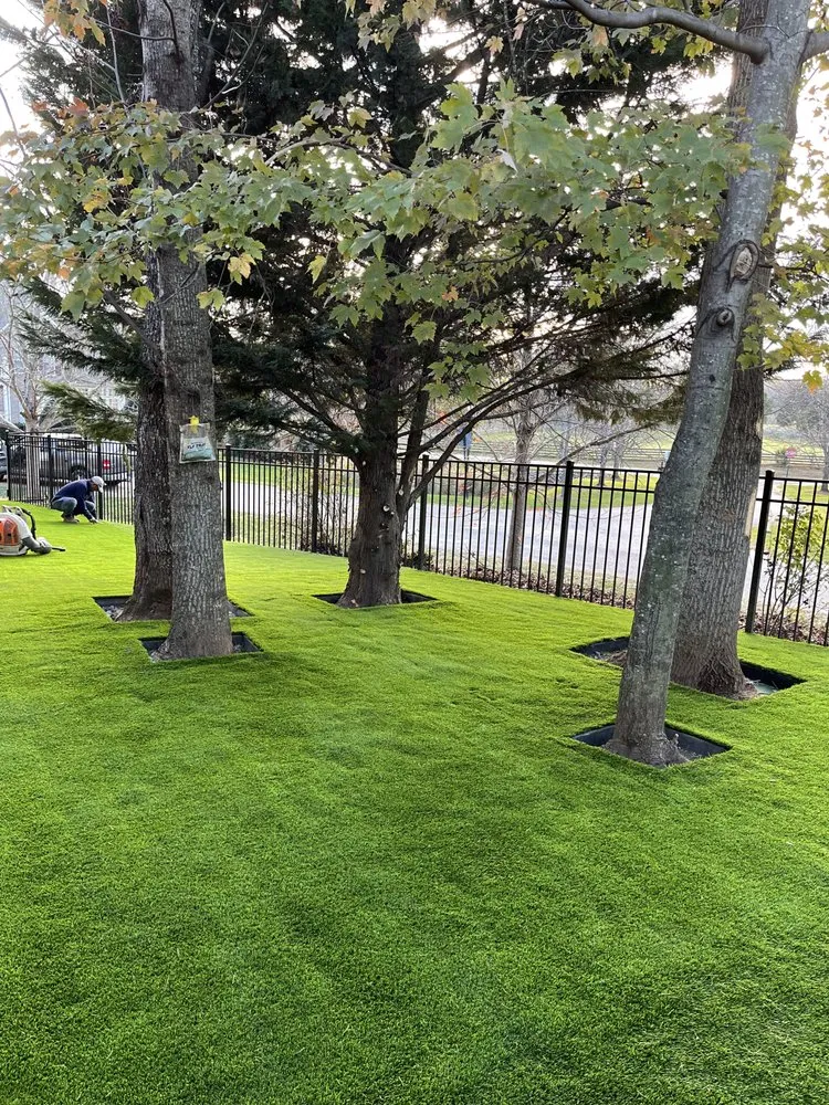 Reliable landscape design experts serving Fort Mill, SC - GoGreen Hardscapes