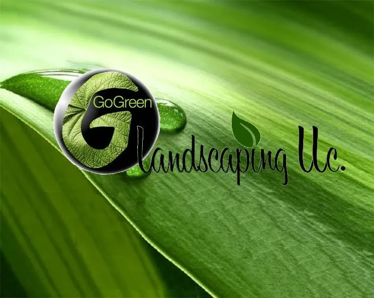Expert yard cleanup service in Columbia, MD by GoGreen Landscaping