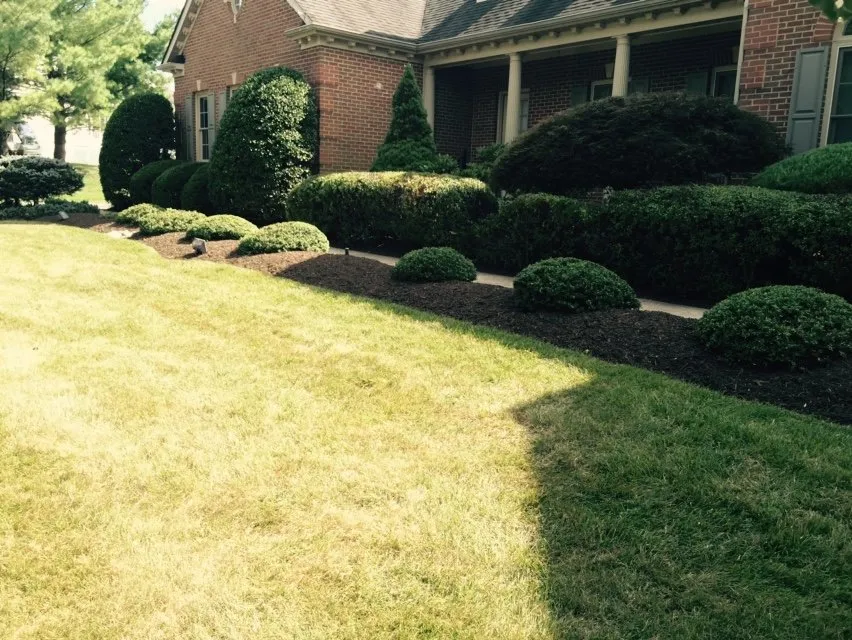 Affordable garden landscaping in Columbia, MD by GoGreen Landscaping