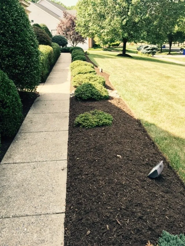 Top-rated yard maintenance in Columbia, MD - GoGreen Landscaping